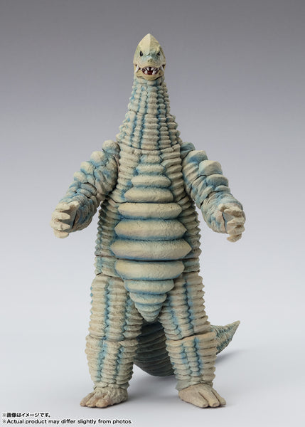 01_SHF___01_grande.jpg?v=
