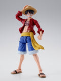 S.H.Figuarts Monkey D. Luffy -Two Years Later-