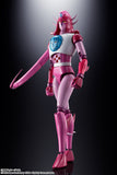 Soul of Chogokin GX-108 Rhein X1 & GX-11R Dianan A