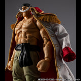 Variable Action Heroes ONE PIECE "White Beard" Edward Newgate Ver.1.5