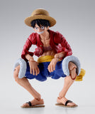 S.H.Figuarts Monkey D. Luffy -Two Years Later-