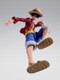 S.H.Figuarts Monkey D. Luffy -Two Years Later-