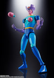 Soul of Chogokin GX-108 Rhein X1 & GX-11R Dianan A