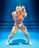S.H.Figuarts Kinnikuman -Perfect Origin Arc-