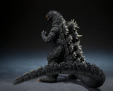 S.H.MonsterArts Godzilla (1989) Godzilla vs. Biollante -Movie Graphic Plus-