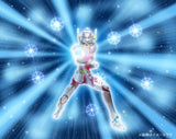 Saint Cloth Myth Pegasus Seiya (First Bronze Cloth) (Revival Ver) (2027 Re-Run)