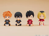 Nendoroid Plus: Shoyo Hinata Rubber Mascot