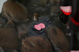 Goddess of Victory: Nikke Scarlet: Black Shadow 1/4 Scale Figure