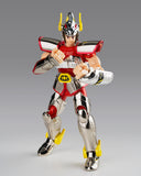 Saint Cloth Myth Saint Cloth Series Pegasus Cloth (First Bronze Cloth) -Cloth Box Limited Edition-