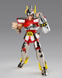 Saint Cloth Myth Saint Cloth Series Pegasus Cloth (First Bronze Cloth) -Cloth Box Limited Edition-