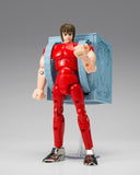 Saint Cloth Myth Saint Cloth Series Pegasus Cloth (First Bronze Cloth) -Cloth Box Limited Edition-