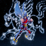 Saint Cloth Myth Saint Cloth Series Pegasus Cloth (First Bronze Cloth) -Cloth Box Limited Edition-