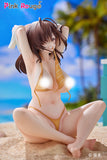 Danjo no Yujo ga Seiritsu Dekinai Type no Onna Tomodachi Special Set 1/7 Scale Figure