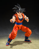 S.H.Figuarts Son Goku (The Kind-Hearted Saiyan)