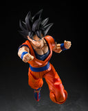 S.H.Figuarts Son Goku (The Kind-Hearted Saiyan)