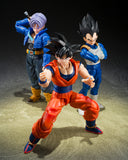 S.H.Figuarts Vegeta (Z-Fighters)