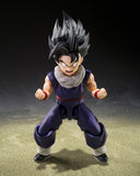 S.H.Figuarts  Son Gohan (Z-Fighters) Limited Edition with Z-Fighters Group Base Ver. A