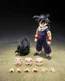 S.H.Figuarts  Son Gohan (Z-Fighters) Limited Edition with Z-Fighters Group Base Ver. A