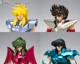 Saint Cloth Myth EX Cygnus Hyoga (Final Brozne Cloth)