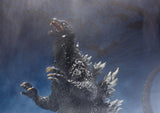 S.H.MonsterArts Godzilla (2002) (Re-Run)