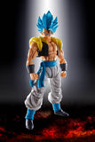 S.H.Figuarts Super Saiyan God Super Saiyan Gogeta (Re-Run)