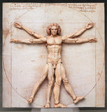 figma Vitruvian Man (2nd Re-Run)