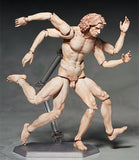 figma Vitruvian Man (2nd Re-Run)