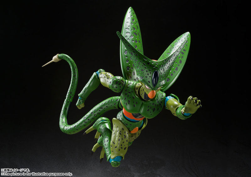 First Form Cell Background Cell Dbz First Form