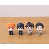 LOOKUP Haikyu!! Hajime Iwaizumi