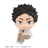 LOOKUP Haikyu!! Hajime Iwaizumi