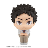 LOOKUP Haikyu!! Hajime Iwaizumi