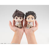 LOOKUP Haikyu!! Hajime Iwaizumi