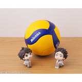 LOOKUP Haikyu!! Hajime Iwaizumi