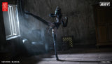 Assassin 1/12 Action Figure