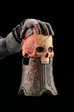 The Wraith Complete Figure