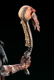 The Wraith Complete Figure