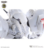 IMS L.E.D. Mirage V3 1/100 Plastic Injection Kit