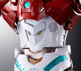 Metal Build Dragon Scale Shin Getter 1